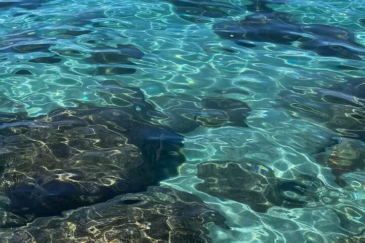 Lake Tahoe Clear Kayak Adventure at Stateline Nevada - Second Medium