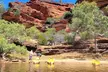 Explore the Hidden Gorges: Kalbarri 4WD, Hike, Canoe Experience - Image 6