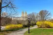 Central Park E-Scooter Rentals - Second Medium