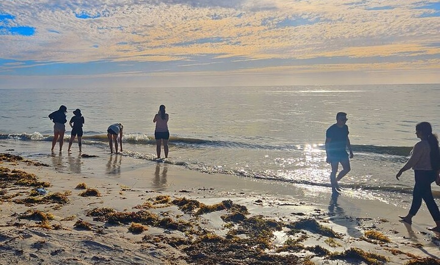 Image 6: Pinnacles Desert Sunset Dinner and Stargazing Tour