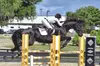$125 For Two English Riding Lessons (Reg. $250)