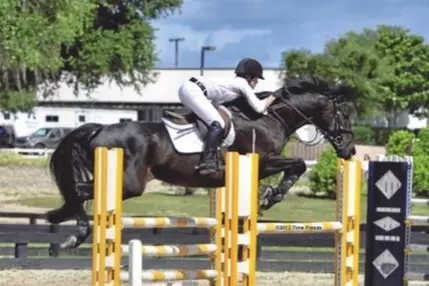$125 For Two English Riding Lessons (Reg. $250)
