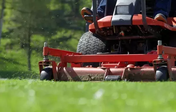 $80 For 1 Month of Mow, Edging, & Weed Whacking (Reg $160.)