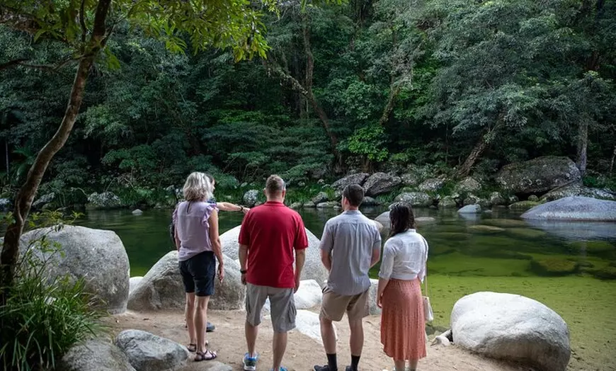 Image 1: Half Day Tour to Daintree Rainforest and Mossman Gorge