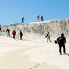 Image 8: Lancelin 4WD & Sandboarding Dunes Adventure - from Lancelin