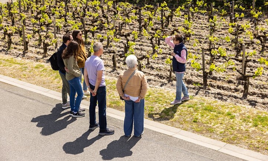 Image 10: Tour après-midi dans le Médoc