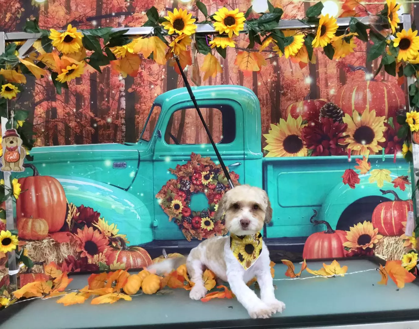 $15 For $30 Towards Any Service