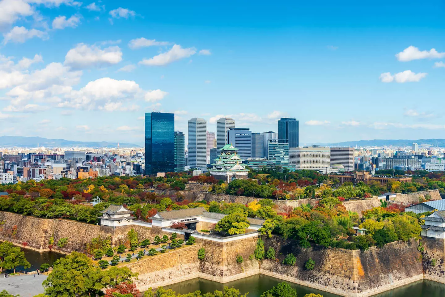 ✈ GIAPPONE | Da Tokyo a Osaka - Paradiso Giapponese: Tokyo, Kyoto, ...