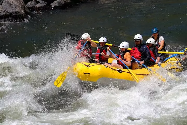 Whitewater Rafting the Salmon River - Full Day