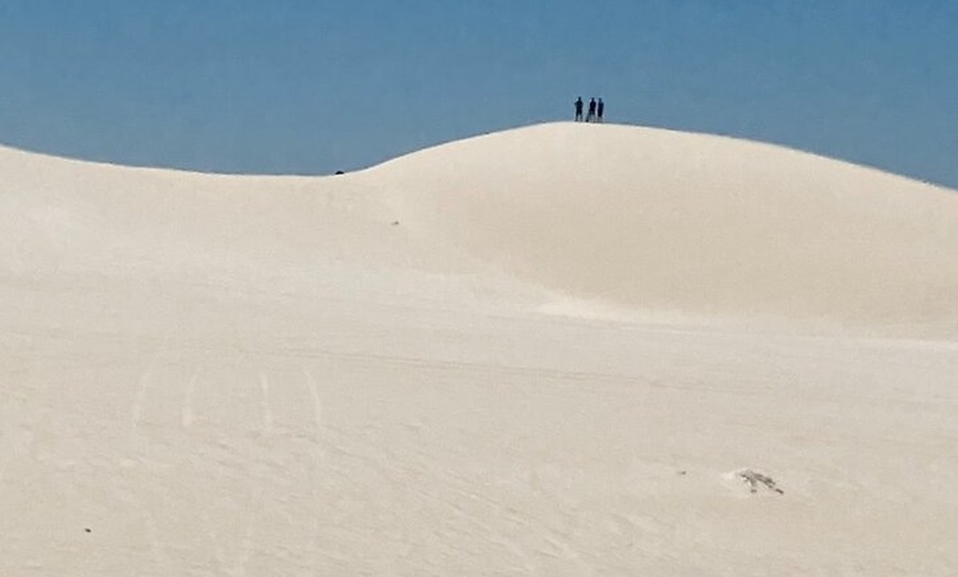 Image 2: Turquoise Coast and Pinnacles Desert, Lunch Included.
