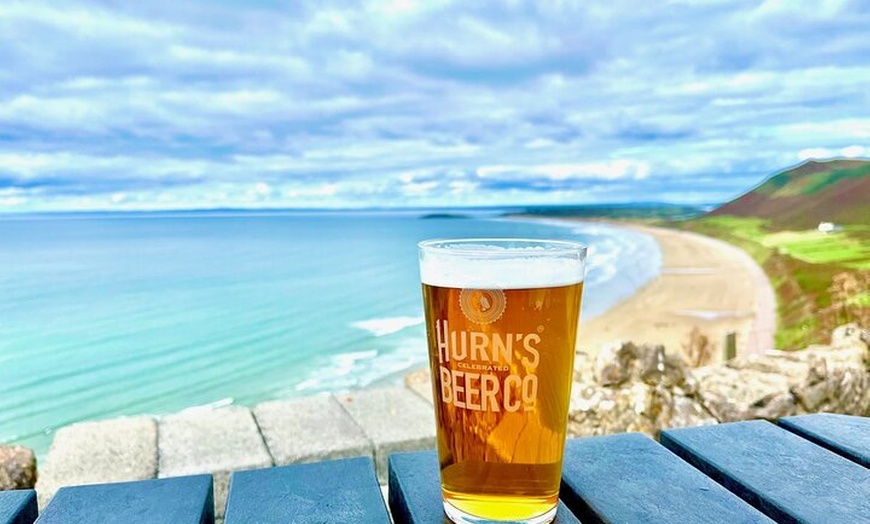 Image 4: Gower Scenery Tour