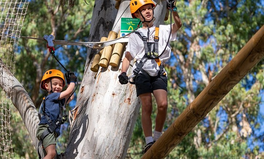 Image 4: Aerial Fun & Ziplining for Our Littlest Adventurers in Salisbury