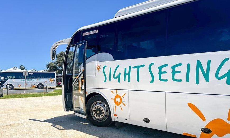 Image 5: Full-Day Great Ocean Road and 12 Apostles Tour