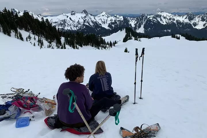 Mt. Rainier Tour and Guided Hike