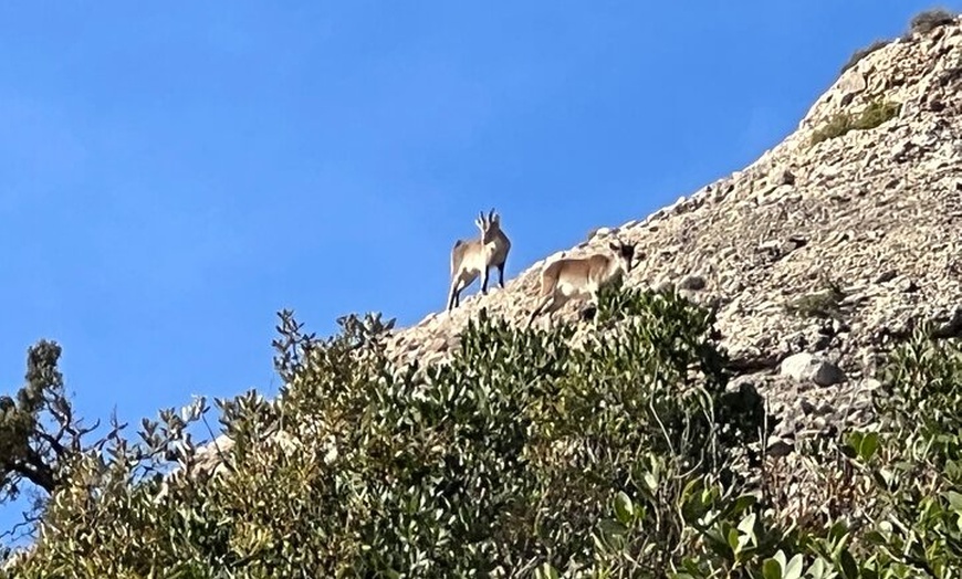 Image 35: Excursión privada al Monasterio de Montserrat con recogida en el hotel