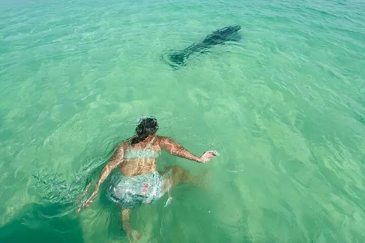 Destin Private Boat Tours Dolphin Crab Island Snorkel Sunset