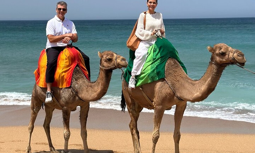 Image 7: Excursión de un día a Marruecos desde Málaga Todo incluido