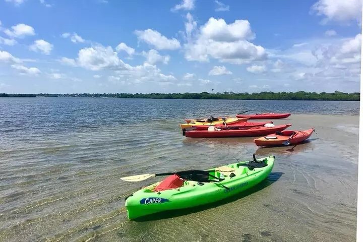Kayak Dolphin Eco Tour - Primary Image