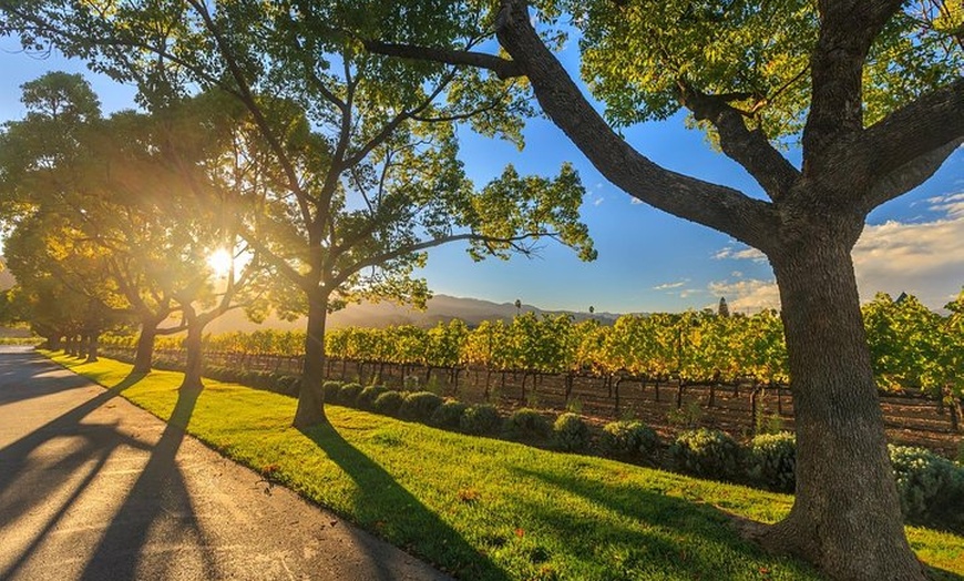 Image 2: Perth Wildlife Park & City Highlights - Premium Small Group Tour