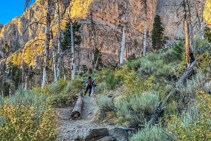 Mount Charleston Tour from Las Vegas