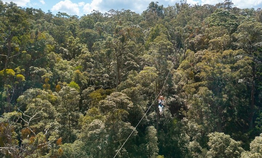 Image 15: Treetop Challenge Adrenaline Pass