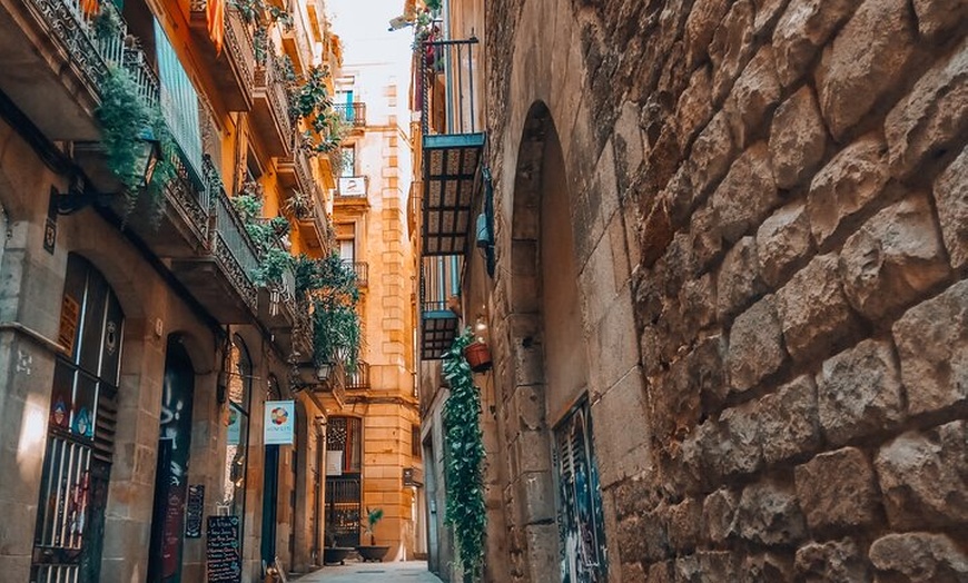 Image 13: Introducción al recorrido a pie por el Barrio Gótico del casco anti...