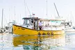 Lil' Toot Santa Barbara Private Boat Tour - Second Medium
