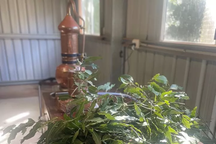 Plant to Perfume Experience Garden Tour Distilling and Perfume - Primary Image