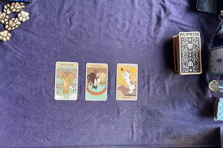 Private or Couple's Tarot Reading - Second Medium
