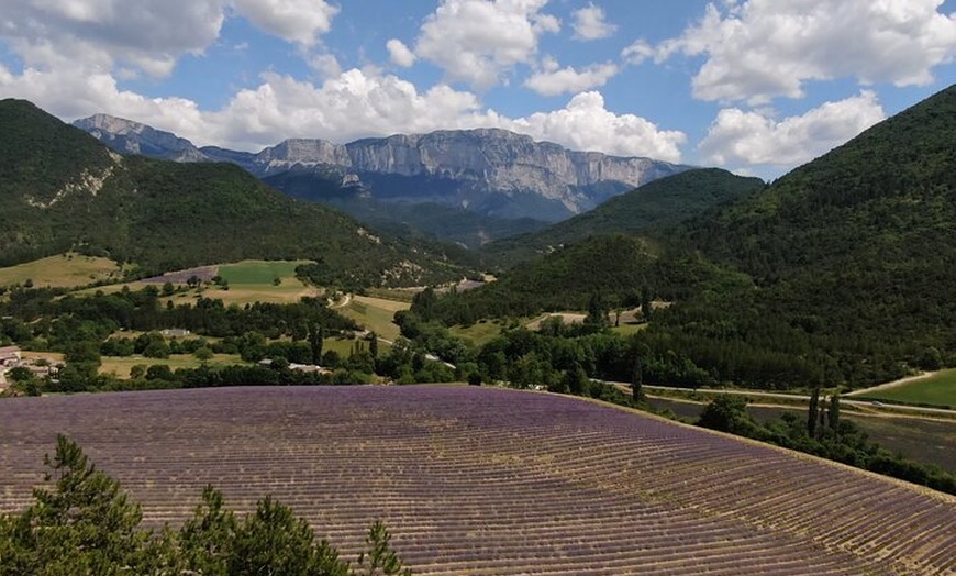 Image 9: Randonnée Familiale dans les Champs de Lavande du Vercors