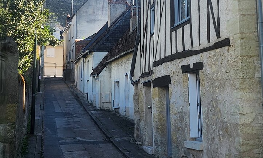 Image 8: Découvrez Amboise dans les pas de Léonard de Vinci