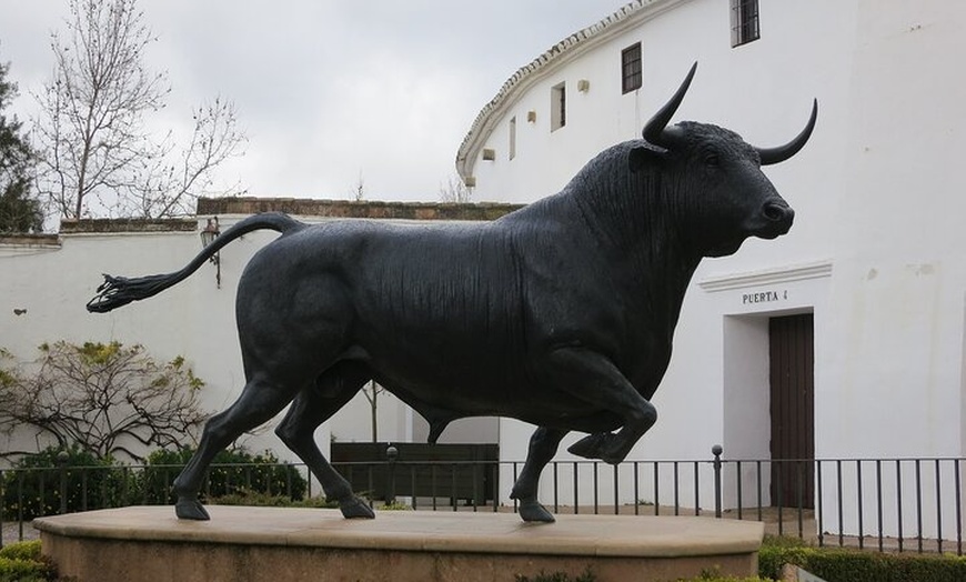 Image 6: Excursión privada de un día a Ronda con entrada a la plaza de toros...