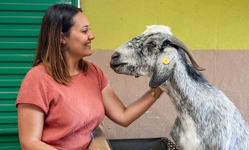 Image 2: Granjera o Granjero por un Día con Degustación