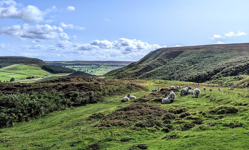 Image 36: Whitby, Robin Hood's Bay and the Moors from York
