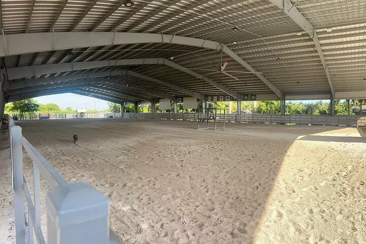Horseback Riding in Miami