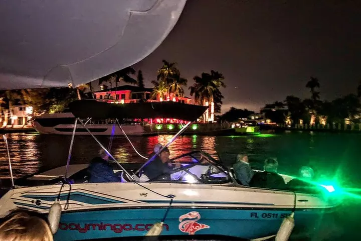 2 Hour Holiday Christmas Lights Tour in Fort Lauderdale max 6pax