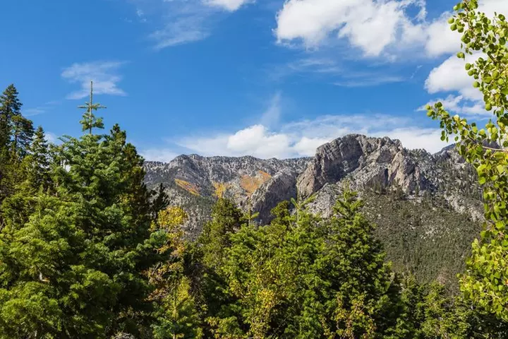 Mount Charleston Tour from Las Vegas