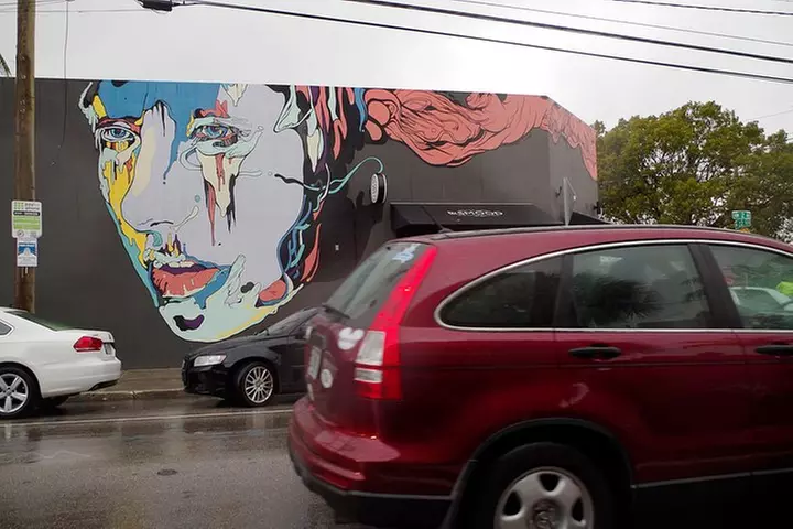 Explore Wynwood with local artist