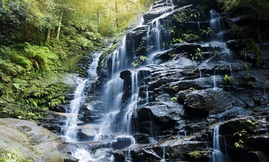 Image 8: Blue Mountains Electric Bike Tour with Transport