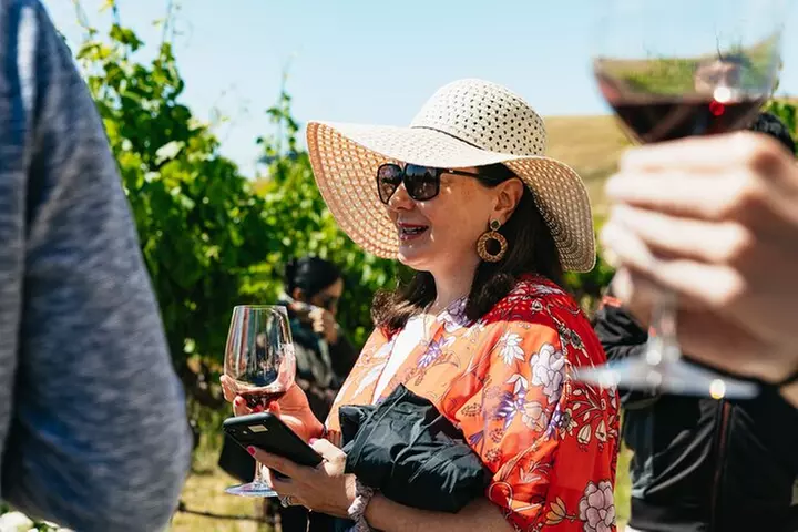 Napa and Sonoma Wine Country Full-Day Tour from San Francisco