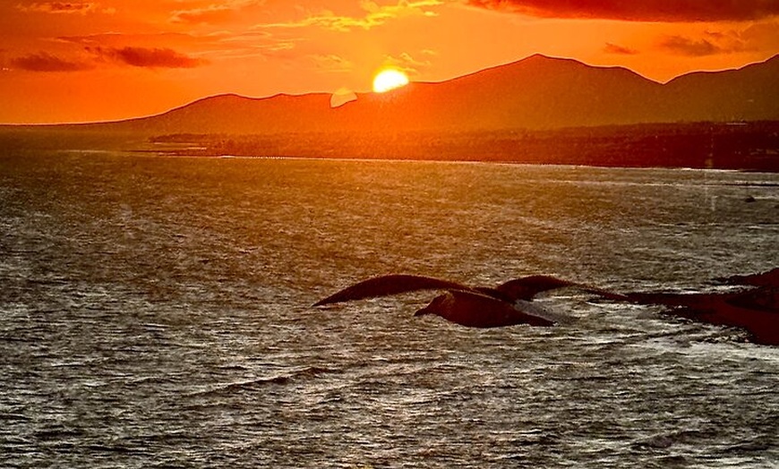 Image 2: Visita guiada a pie por Lanzarote
