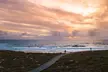 Rottnest Island Seals Sunset and West End Bus Tour - Image 2