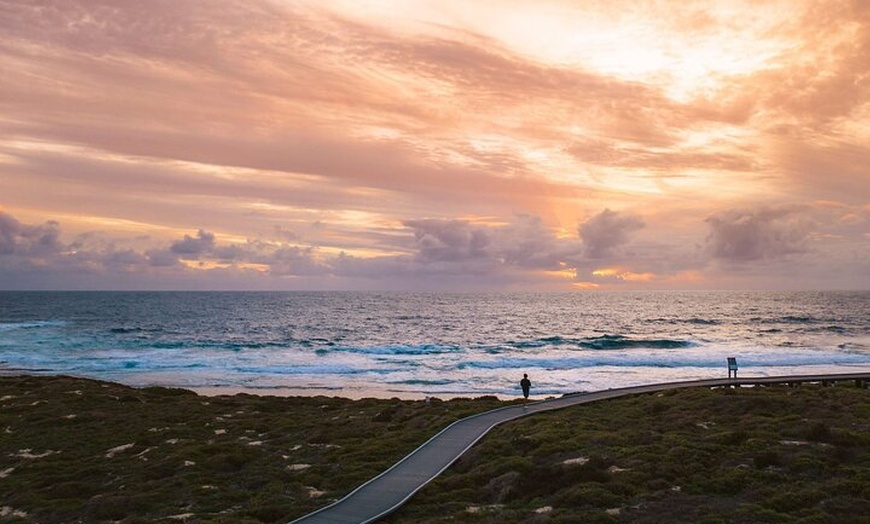 Image 2: Rottnest Island Seals Sunset and West End Bus Tour