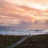 Image 2: Rottnest Island Seals Sunset and West End Bus Tour