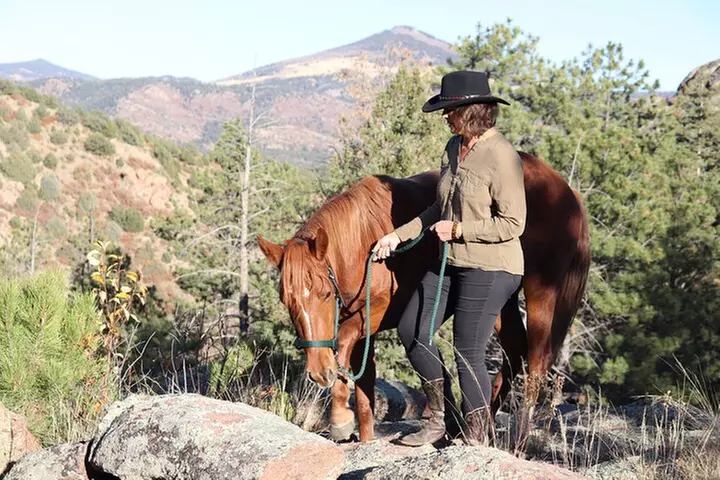 Wild Mustang Experience Near Colorado Springs