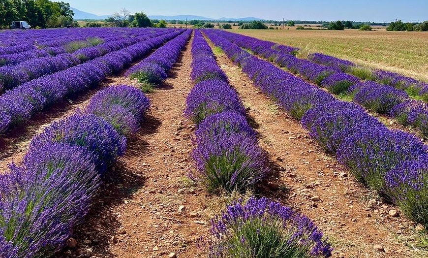Image 10: Aix en Provence : Champs de Lavande & Usine L'Occitane