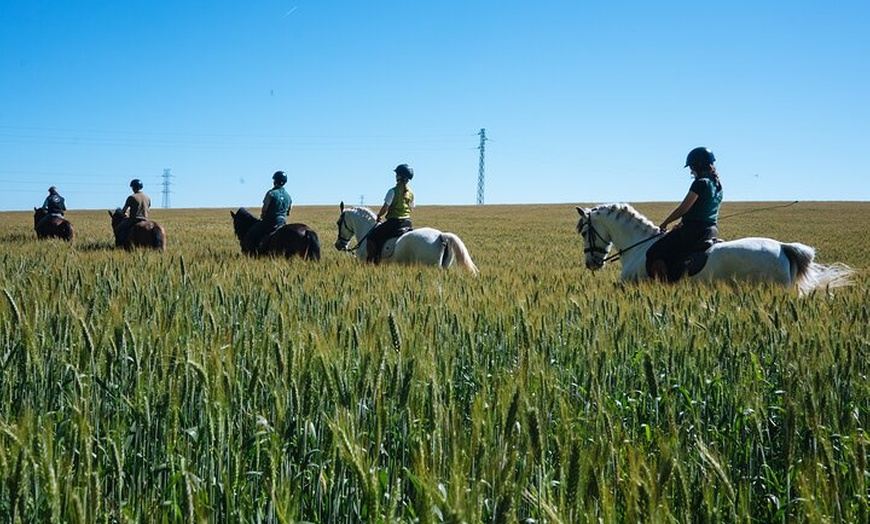 Image 12: Paseos a caballo por el Parque Nacional de Doñana