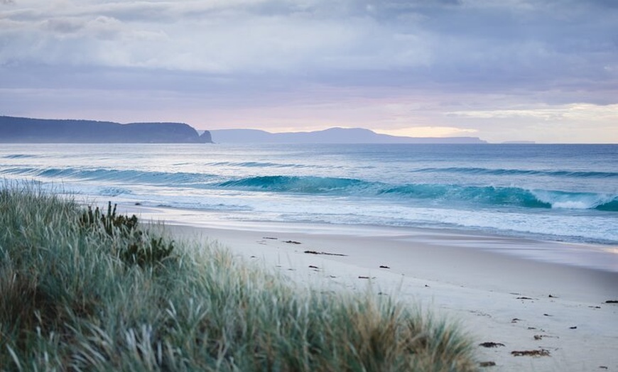 Image 29: 6 Day Island Icons Tassie Day Tour Bundle