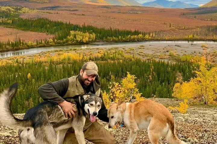 Sluice Box Kennel Alaskan Homestead & Husky Life Experience