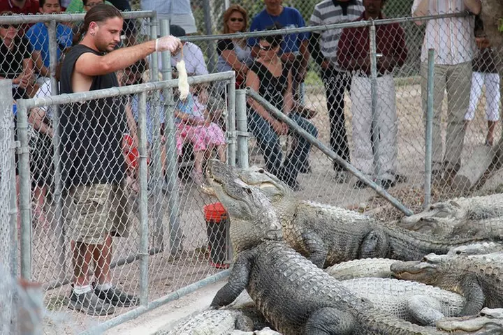Everglades Airboat Adventure and Biscayne Bay Boat Tour